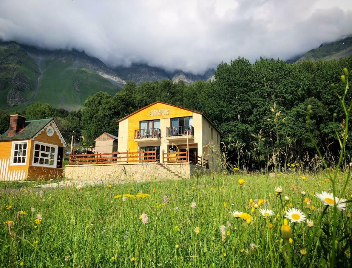 Отель Гостевой дом OISHE Terrace Казбеги Экстерьер фото